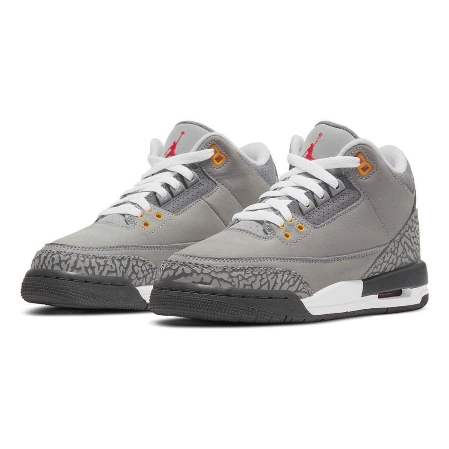 Air Jordan 3 'Cool Grey'