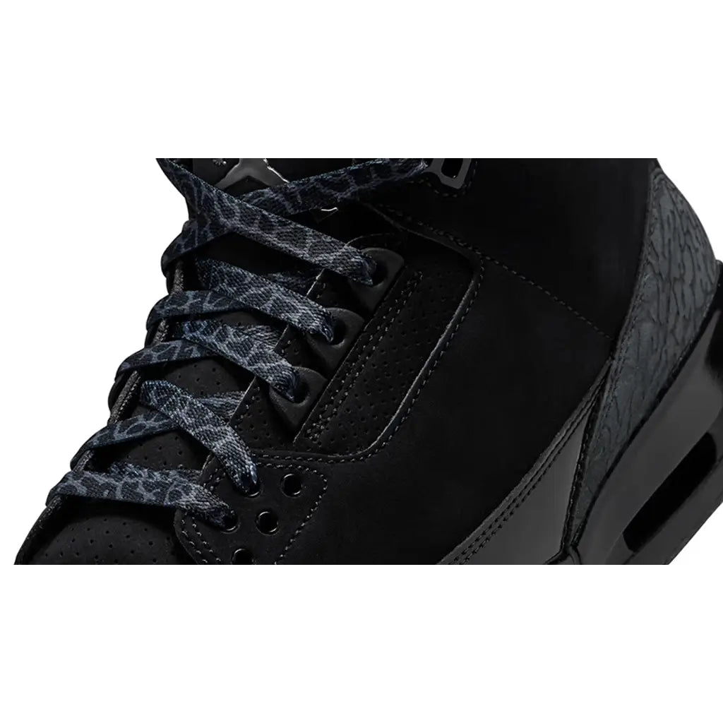 Air Jordan 3 'Black Cat'